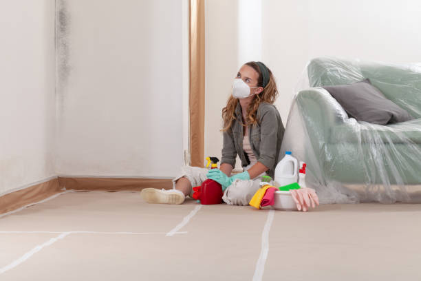 Reliable Mold Remediation contractor in Gladstone, OR by WQB Mold Removal